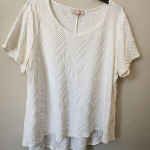 Philosophy Womens Blouse Size 3x
